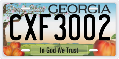 GA license plate CXF3002