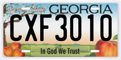 GA license plate CXF3010