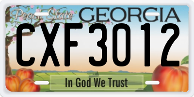 GA license plate CXF3012
