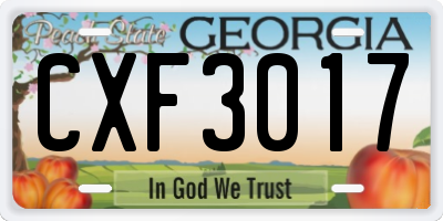 GA license plate CXF3017