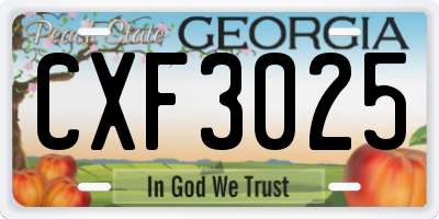 GA license plate CXF3025