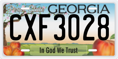 GA license plate CXF3028