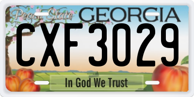 GA license plate CXF3029