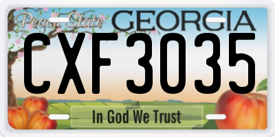 GA license plate CXF3035