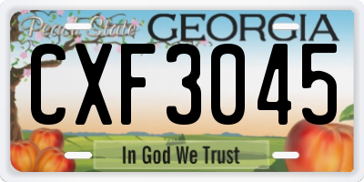 GA license plate CXF3045