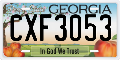 GA license plate CXF3053