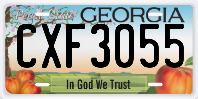 GA license plate CXF3055