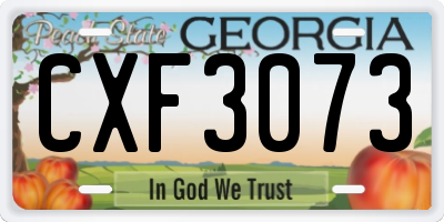 GA license plate CXF3073
