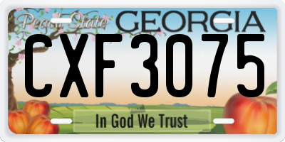 GA license plate CXF3075