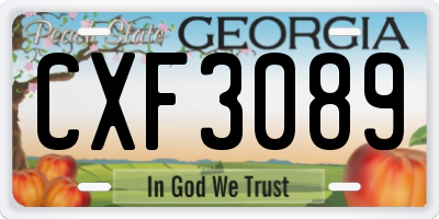 GA license plate CXF3089
