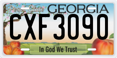 GA license plate CXF3090