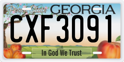 GA license plate CXF3091