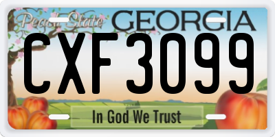 GA license plate CXF3099