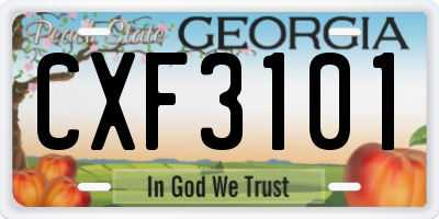 GA license plate CXF3101