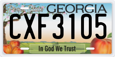 GA license plate CXF3105