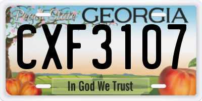 GA license plate CXF3107