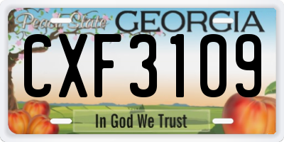 GA license plate CXF3109