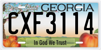 GA license plate CXF3114