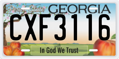 GA license plate CXF3116
