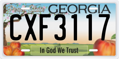 GA license plate CXF3117