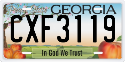 GA license plate CXF3119