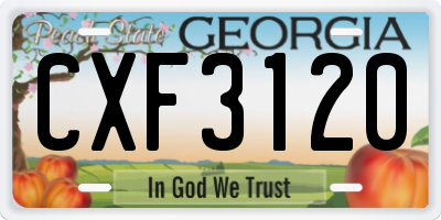 GA license plate CXF3120