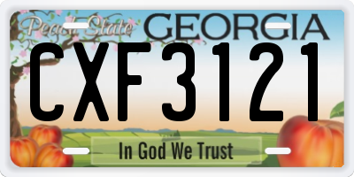 GA license plate CXF3121