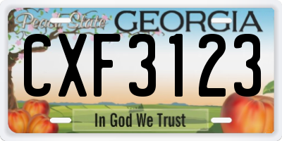 GA license plate CXF3123