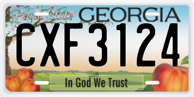 GA license plate CXF3124