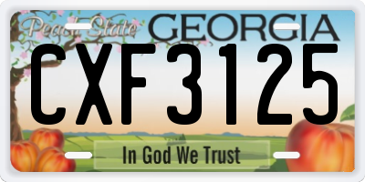 GA license plate CXF3125