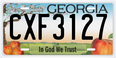 GA license plate CXF3127