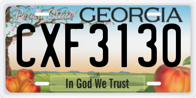 GA license plate CXF3130