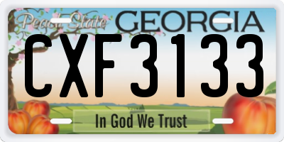 GA license plate CXF3133