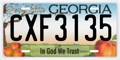 GA license plate CXF3135