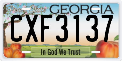 GA license plate CXF3137