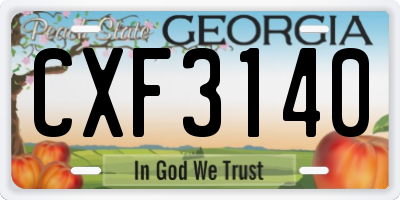 GA license plate CXF3140