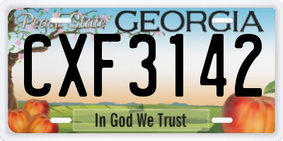 GA license plate CXF3142