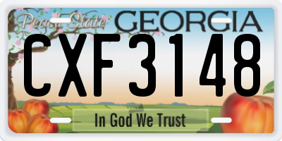 GA license plate CXF3148