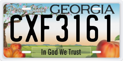 GA license plate CXF3161