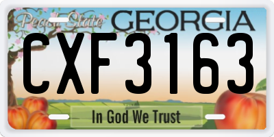GA license plate CXF3163