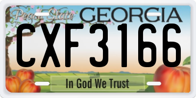 GA license plate CXF3166