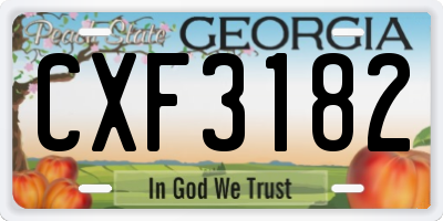 GA license plate CXF3182