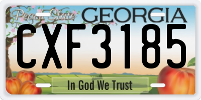 GA license plate CXF3185