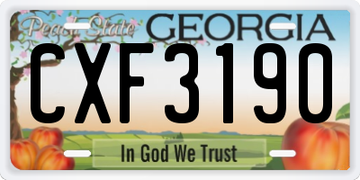 GA license plate CXF3190