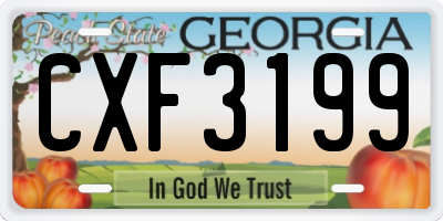 GA license plate CXF3199
