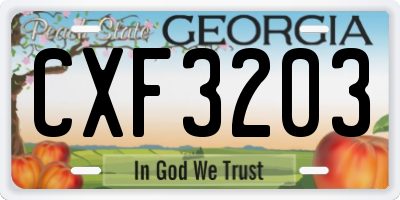 GA license plate CXF3203