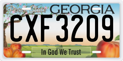 GA license plate CXF3209