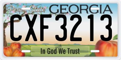 GA license plate CXF3213