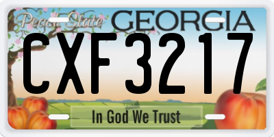 GA license plate CXF3217
