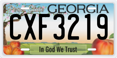 GA license plate CXF3219